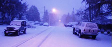 A picture of a snowy street on the south end of Vancouver Island